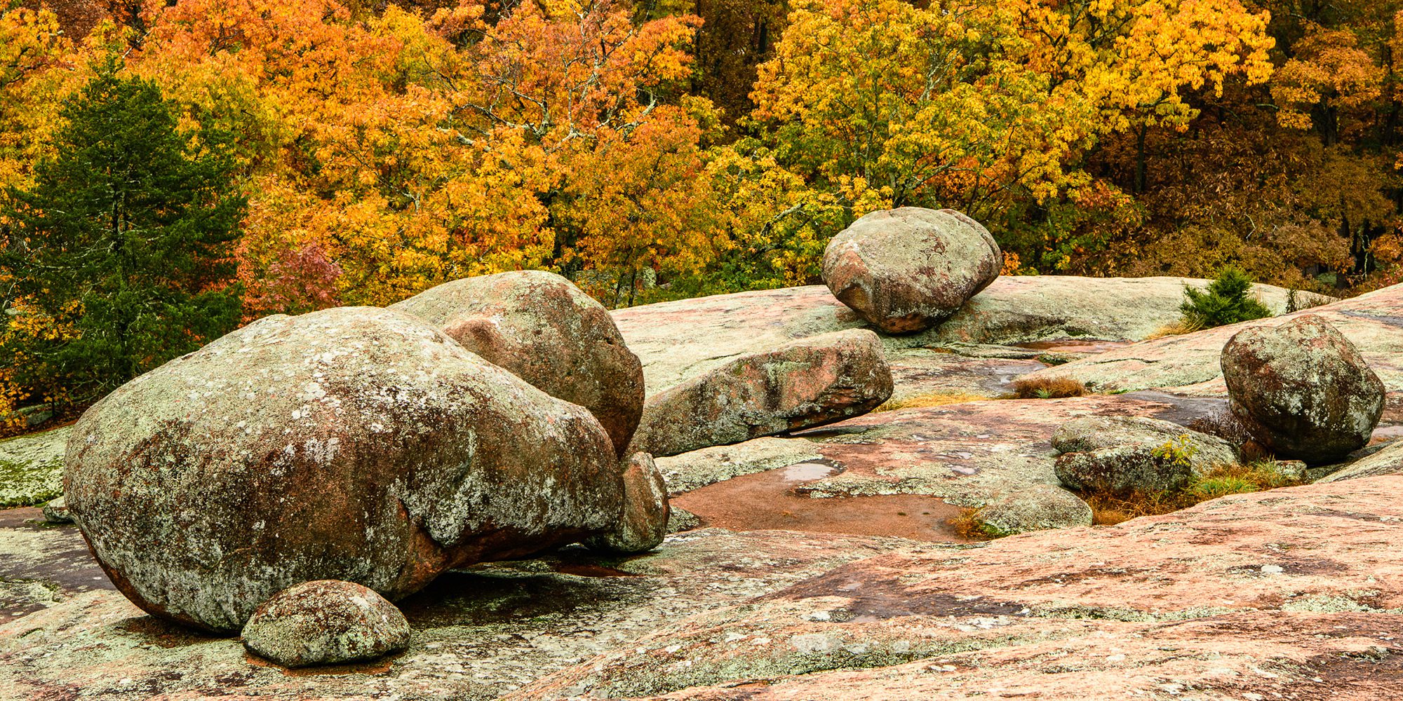 Boulders along the Braille Trail at Elephant Rocks State Park