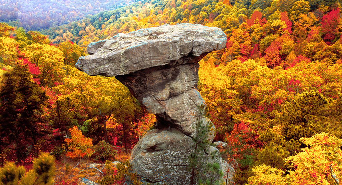 Hike the Pedestal Rocks and Kings Bluff Trails