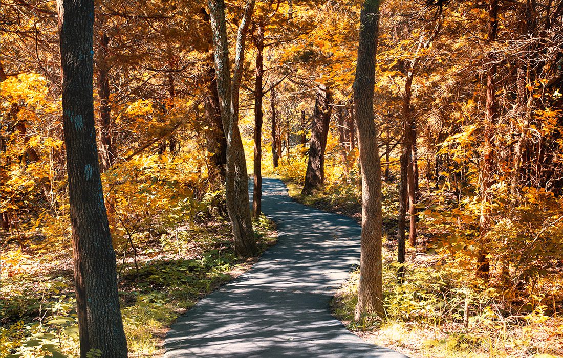 Glade Trail at Ruth and Paul Henning Conservation Area