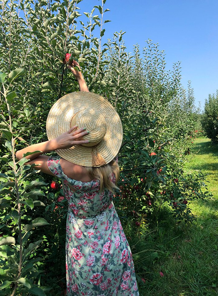 Heather Kane picking an apple at Sunshine Valley Farmstand