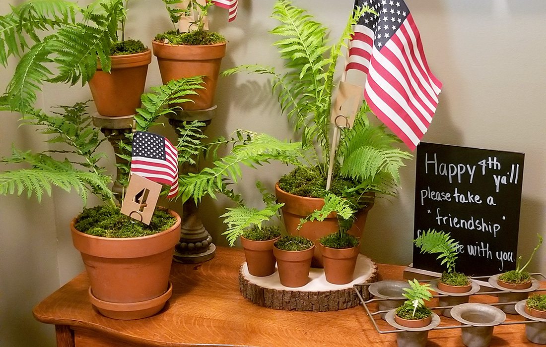 fern party favors for friends on 4th of july