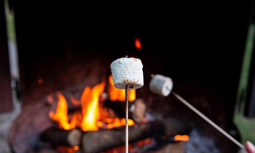Marshmallows over the Fire