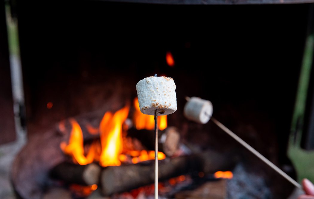 Marshmallows over the Fire