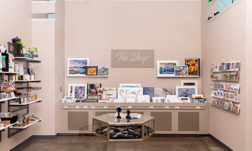 Fresh Gallery in Springfield, MO