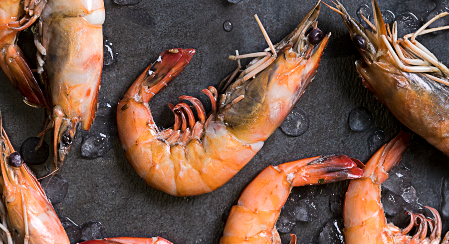 Fresh Catch: Your Guide to Local Seafood