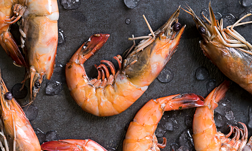 Fresh Catch: Your Guide to Local Seafood