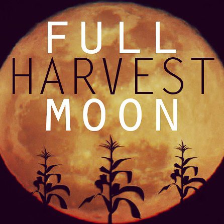 full harvest moon
