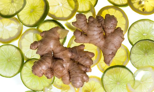 Why We're Digging Ginger Root