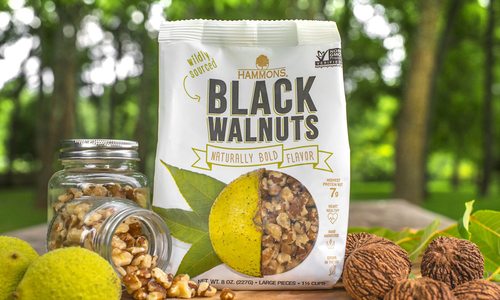 Hammons Black Walnuts