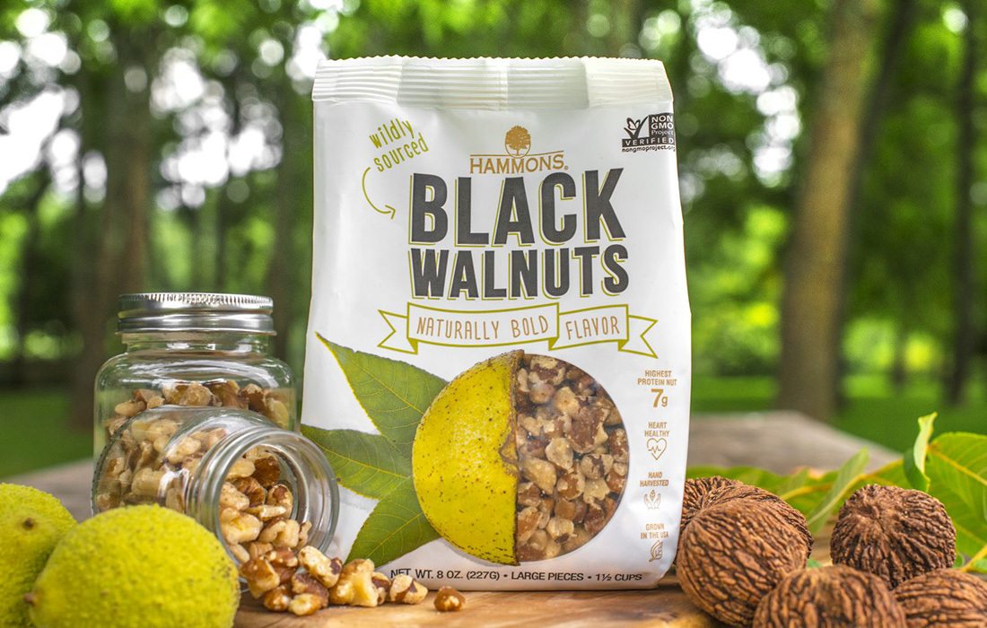 Hammons Black Walnuts