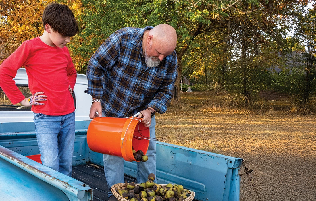 Workers at Hammons Black Walnuts