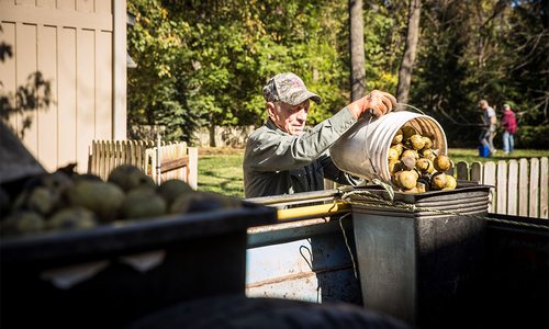 Celebrate the black walnut harvest in the Ozarks as Hammons Black Walnuts.