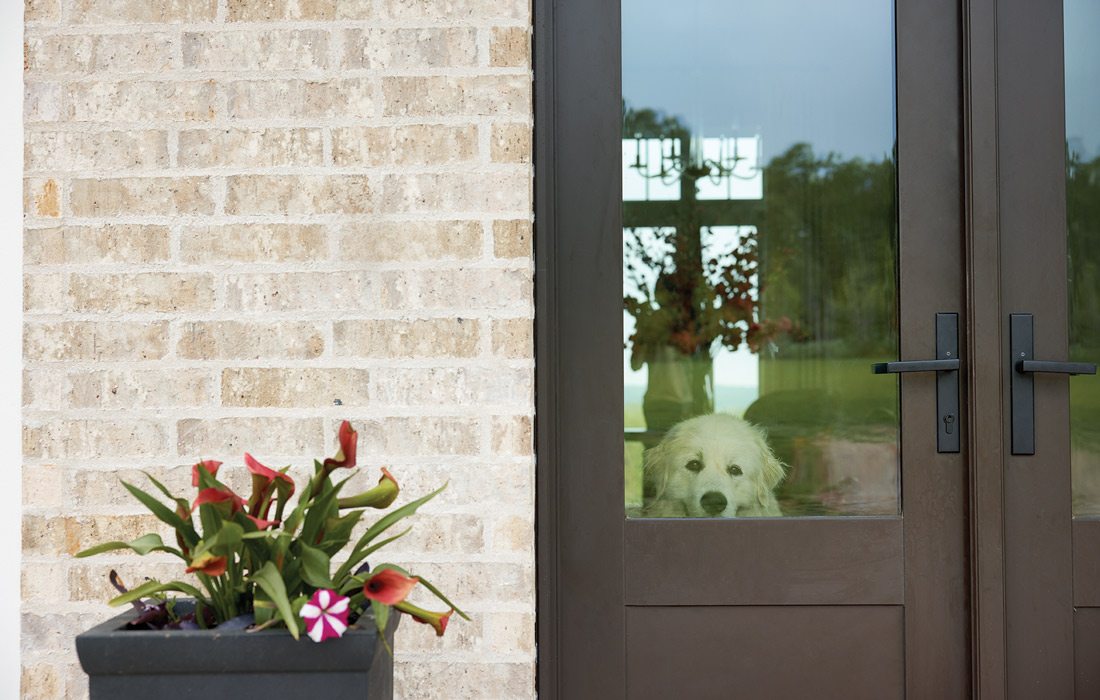 Dog looking through front door in Hendrix home