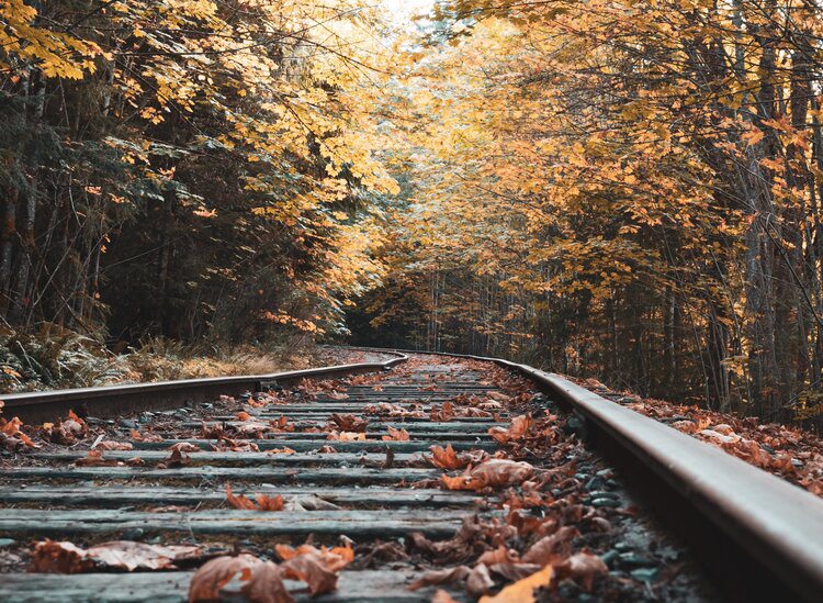 Hike and train ride in Ozark, MO