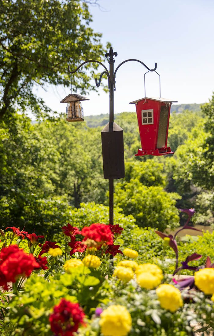 Garden with bird feeder in southwest Missouri
