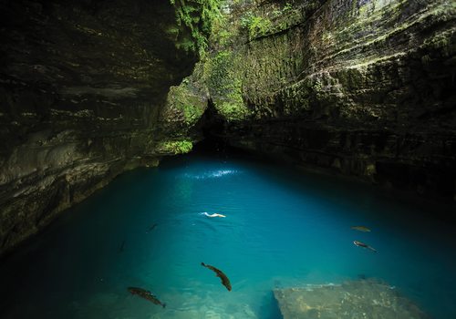 Roaring River State Park