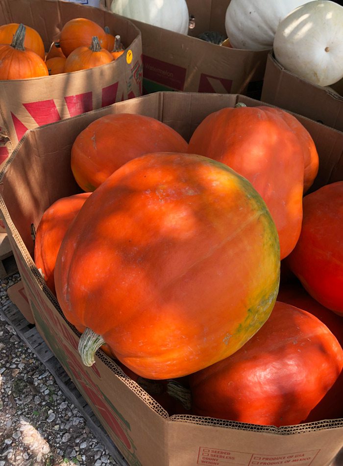 Large pumpkins.