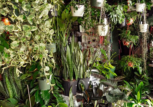 Plant room interior photo.