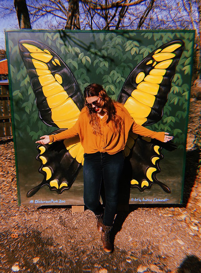 Butterfly Wings at Dickerson Park Zoo