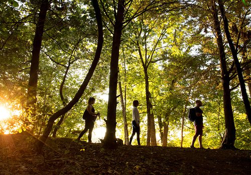 Three people walking a trail at Lake Springfield