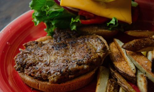 Vegan burger from Jake's Burgers in Springfield MO