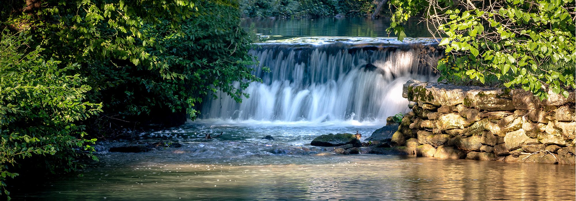 Waterfall in Jones Spring, southwest Missouri