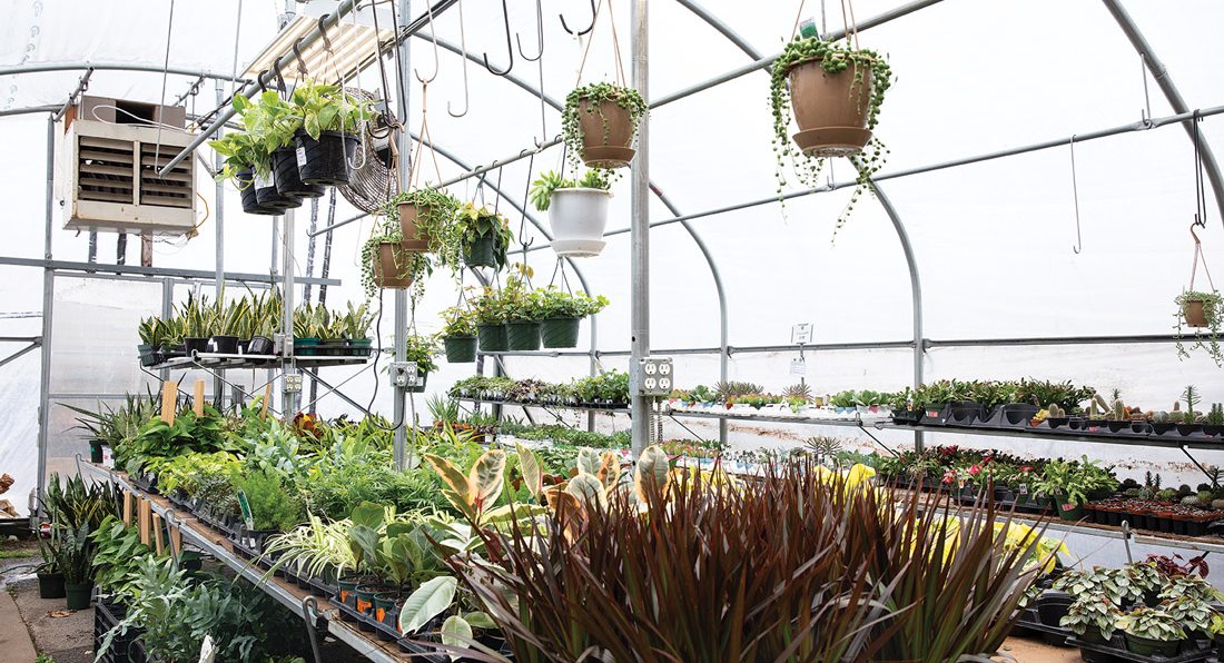 A Look Inside Joplin Greenhouse and The Coffee Shop 417 Home 417