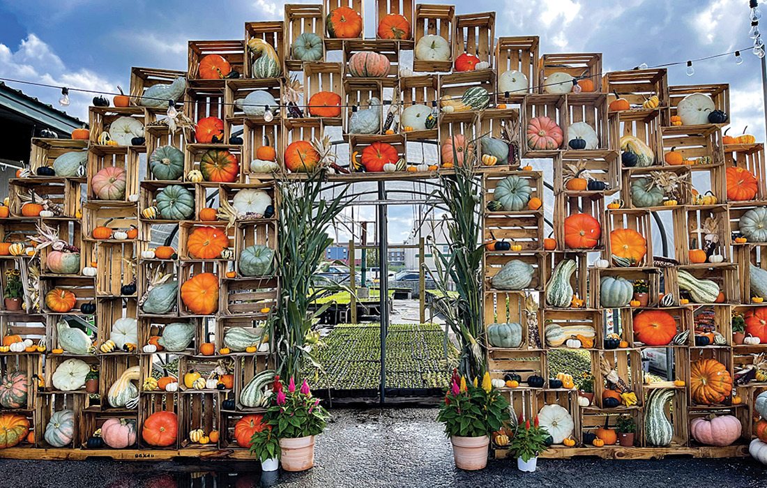 Pumpkin Wall at Joplin Greenhouse