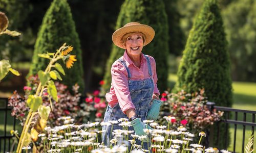 Ozarks Artist Joyce Chalmers’ Outdoor Space