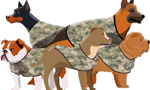 dogs in camo