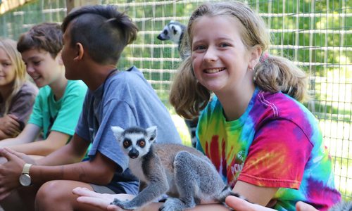 Young girl with a lemur at Cub Creek Science Camp in Rolla, Missouri