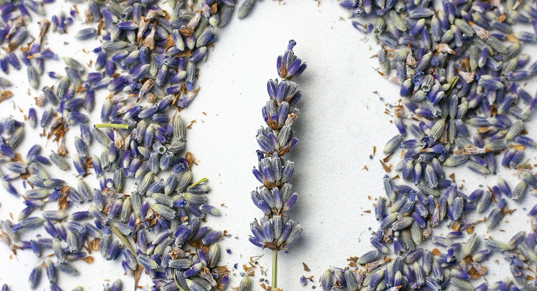 Lavender Lemonade Recipe