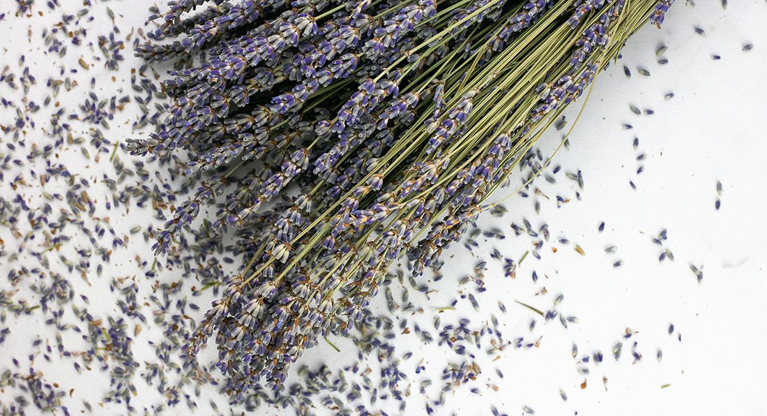 Elle’s Pasta La Morra