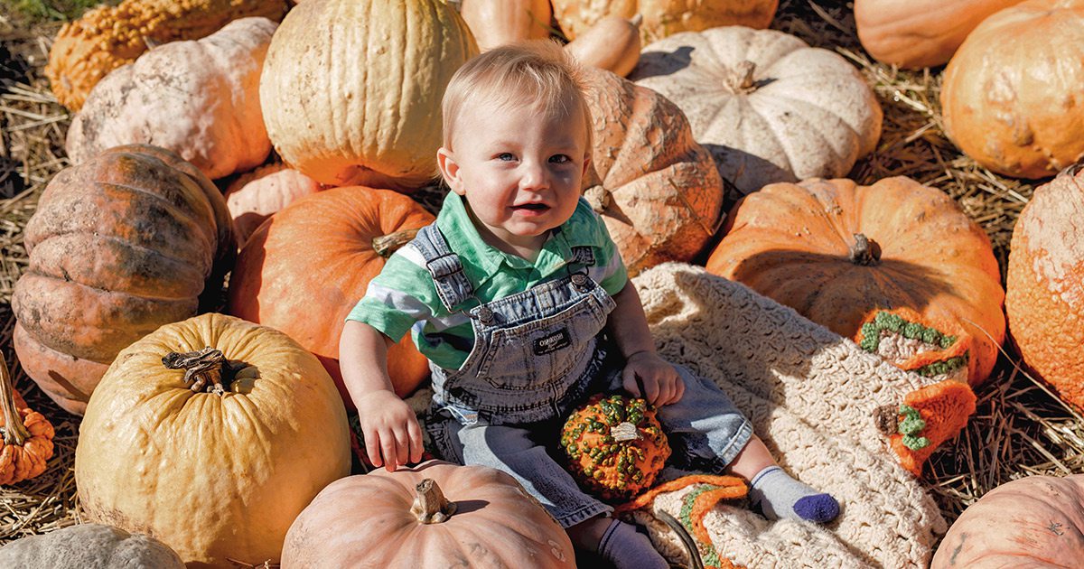 Little boy sitting on a pile of pumpkins in Clay County, Missouri