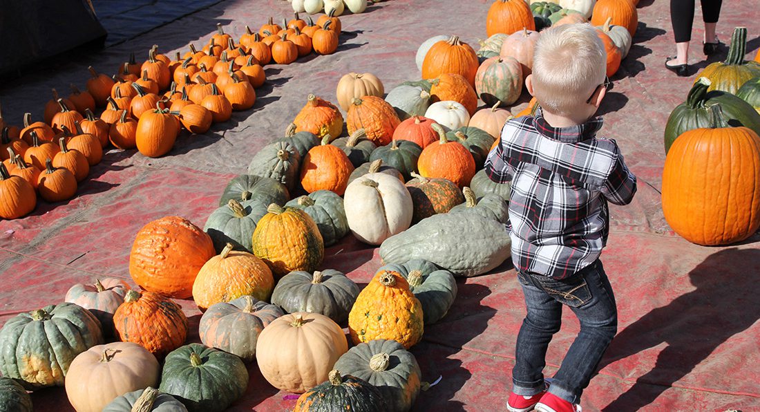 Fall Festivals in Southwest Missouri