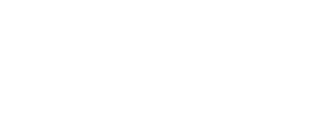 LWL Ladies Who Launch Larger Logo