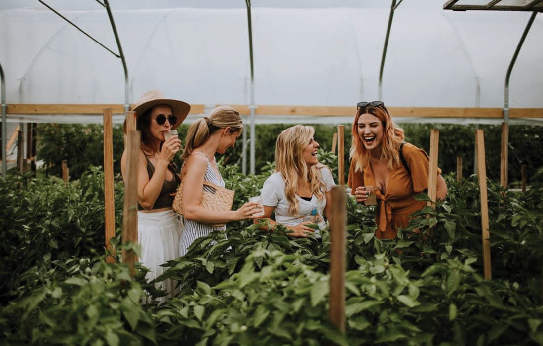 Women at Cocktails on the Farm event