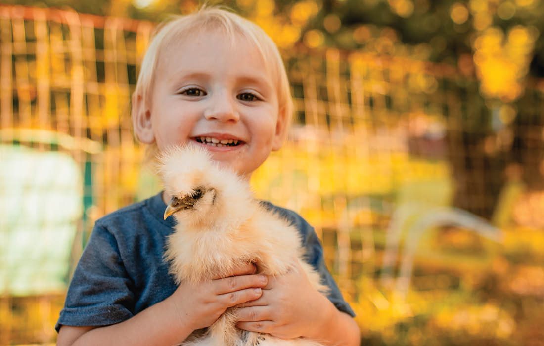 Young child with chicken at Gooseberry Bridge Farm in southwest Missouri