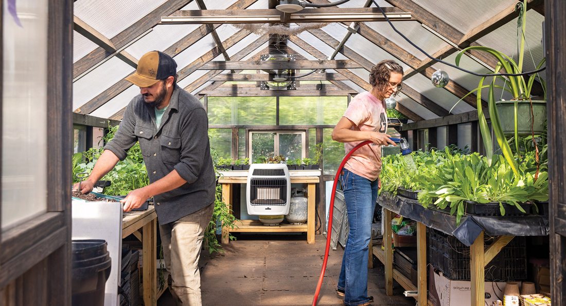 Springfield Farm How Springfield Community Gardens Helps with Urban Farms and ...