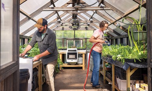 How Springfield Community Gardens Helps with Urban Farms and Initiatives