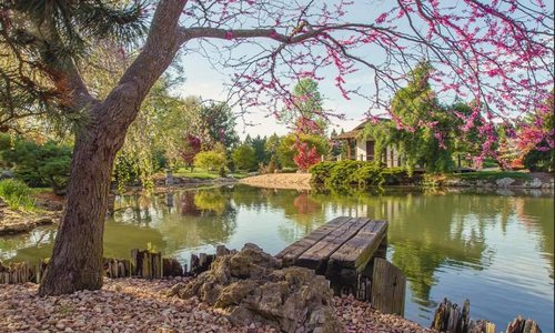 Mizumoto Stroll Garden in Springfield, Missouri.