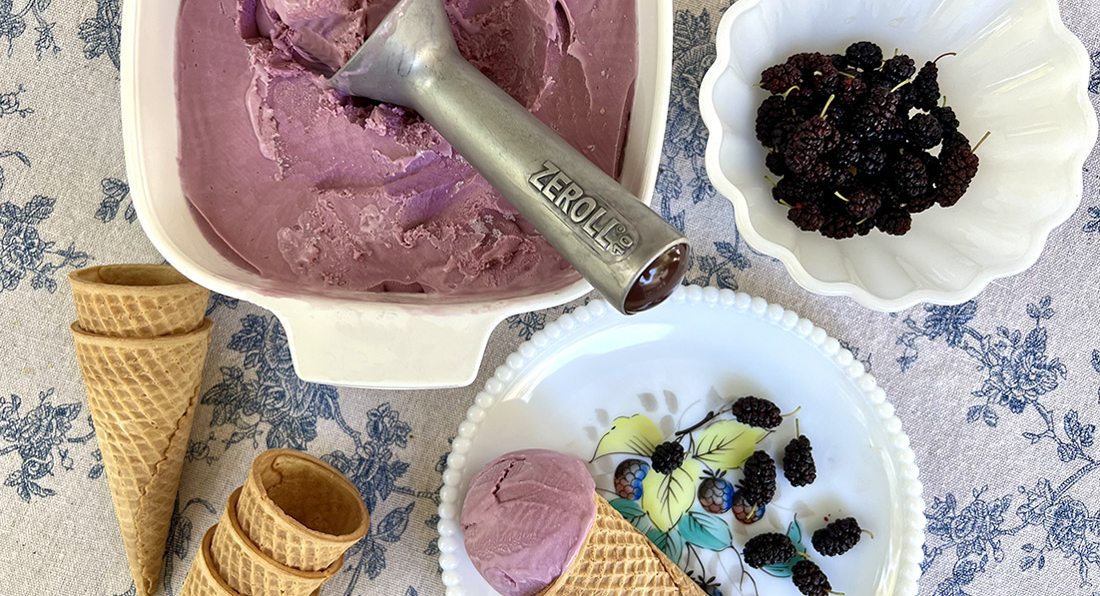 No-Churn Mulberry Ice Cream | Recipes | 417 Magazine