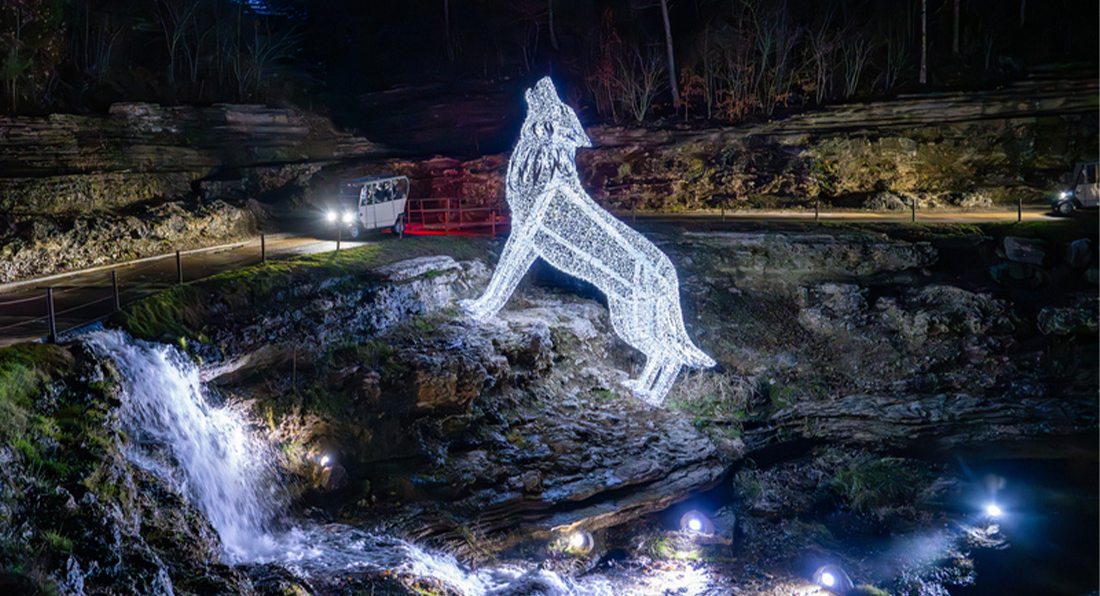 Top of the Rock: Best Pre-Tour Stops for Nature at Night | 417