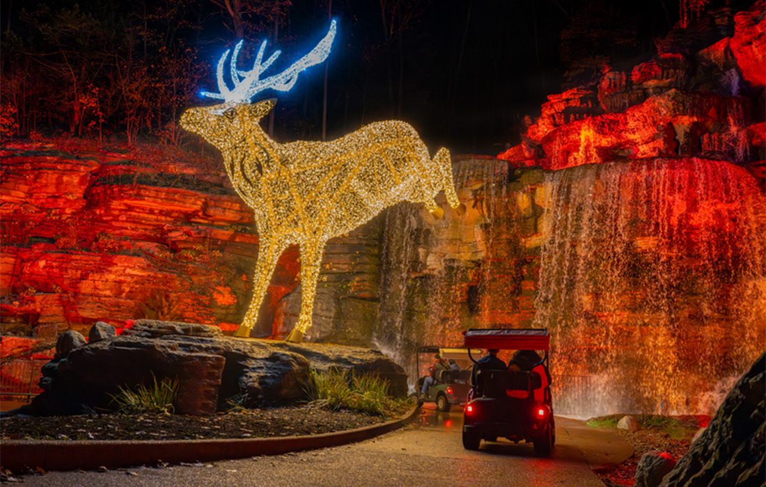 Top of the Rock: Best Pre-Tour Stops for Nature at Night | 417