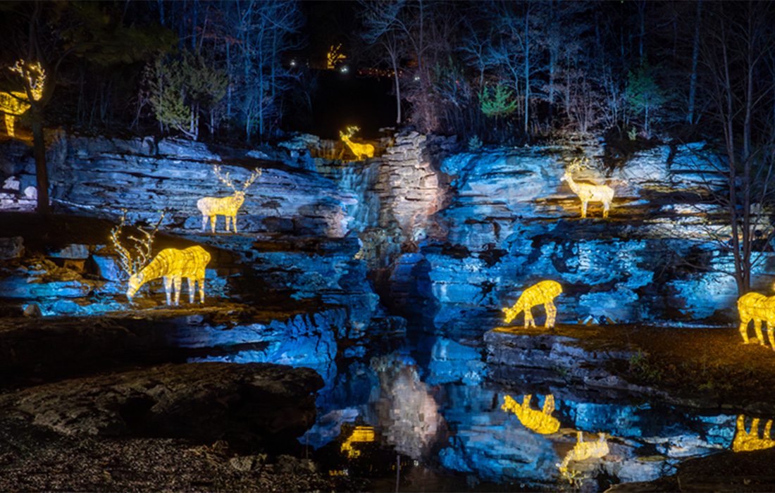 Top of the Rock: Best Pre-Tour Stops for Nature at Night | 417