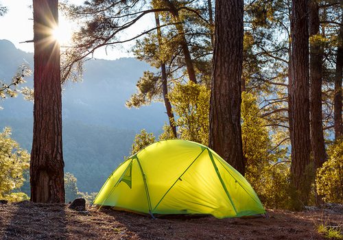 Bright green tent in the woods
