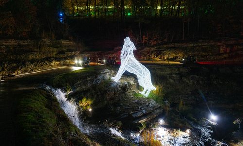 Lights at Nature at Night at Top of the Rock.