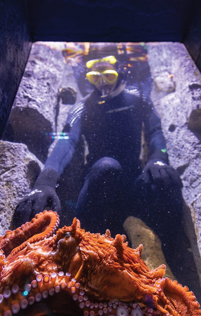 Octavia and Jared Belt inside the tank at Wonders of Wildlife in Springfield MO