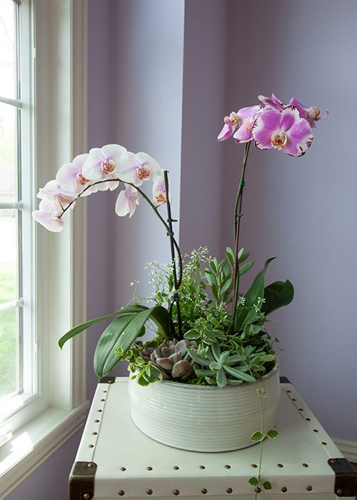 A Simple Orchid Planter DIY