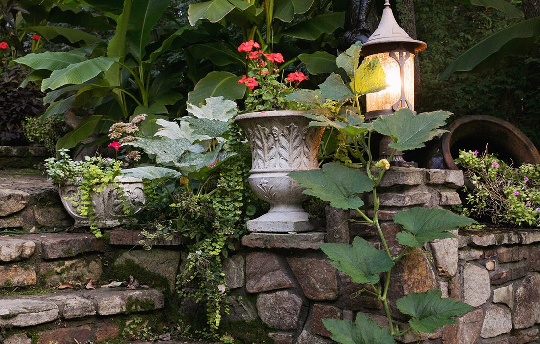 Lush tropical landscaping | Hill Home Springfield MO